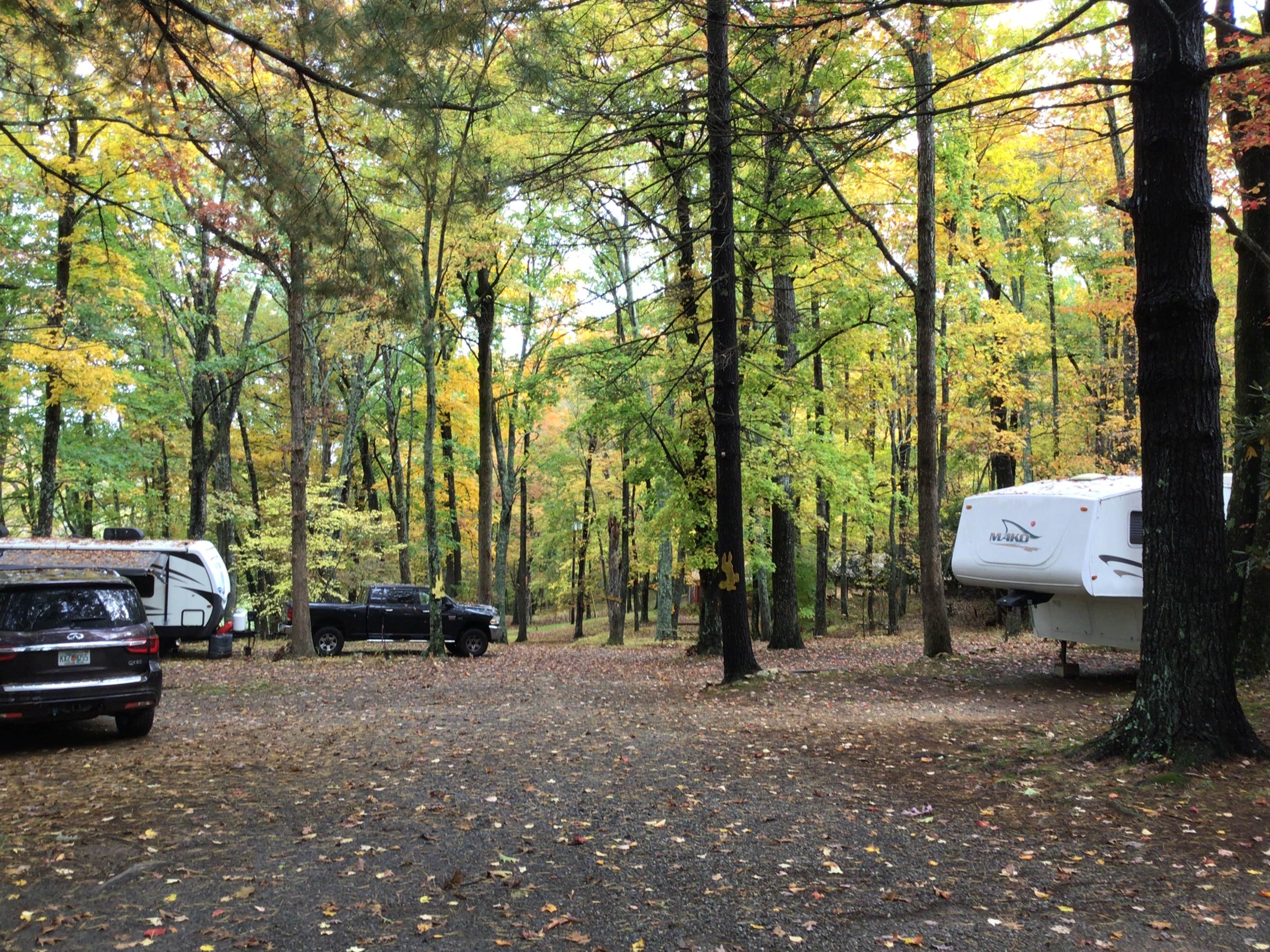 Tim W.'s photo of rv camping at Daddy Rabbits Campground near Floyd, VA