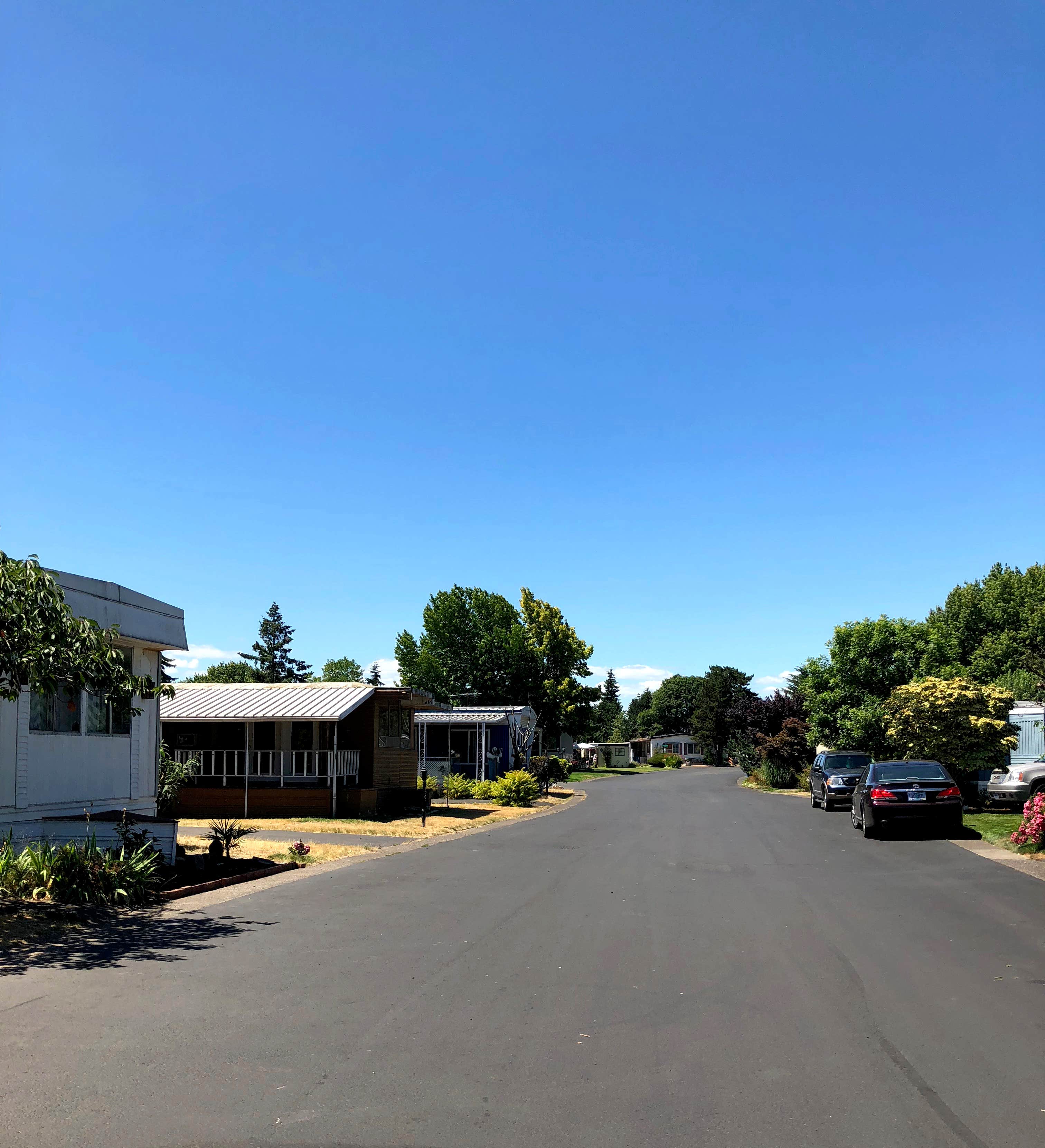 Trailer park 