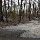 Review photo of Monte Sano State Park Campground by Roger W., March 29, 2023