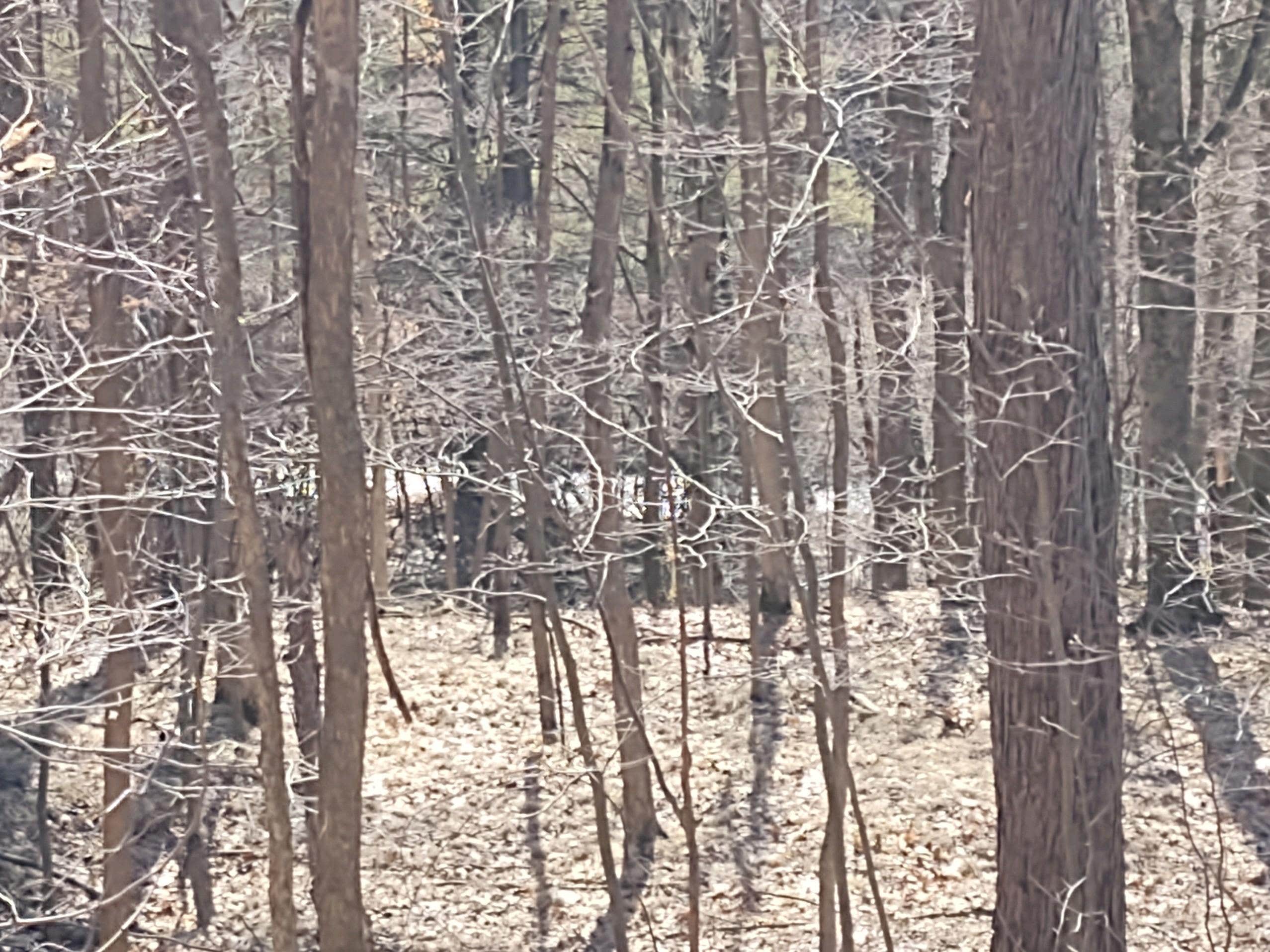 Camper-submitted photo at Plum Good Campground near Wellsville, NY