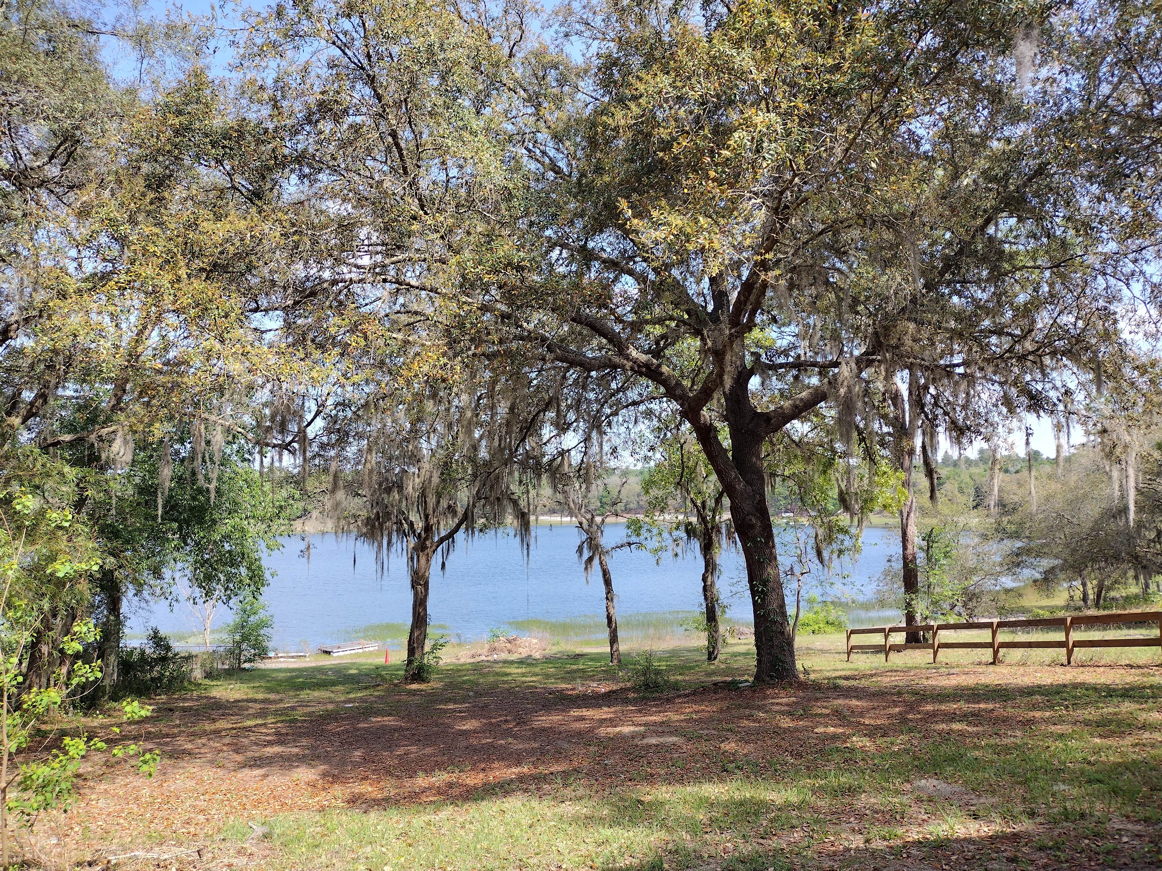 Camper-submitted photo at Free.To.Be- Van Site near Waldo, FL