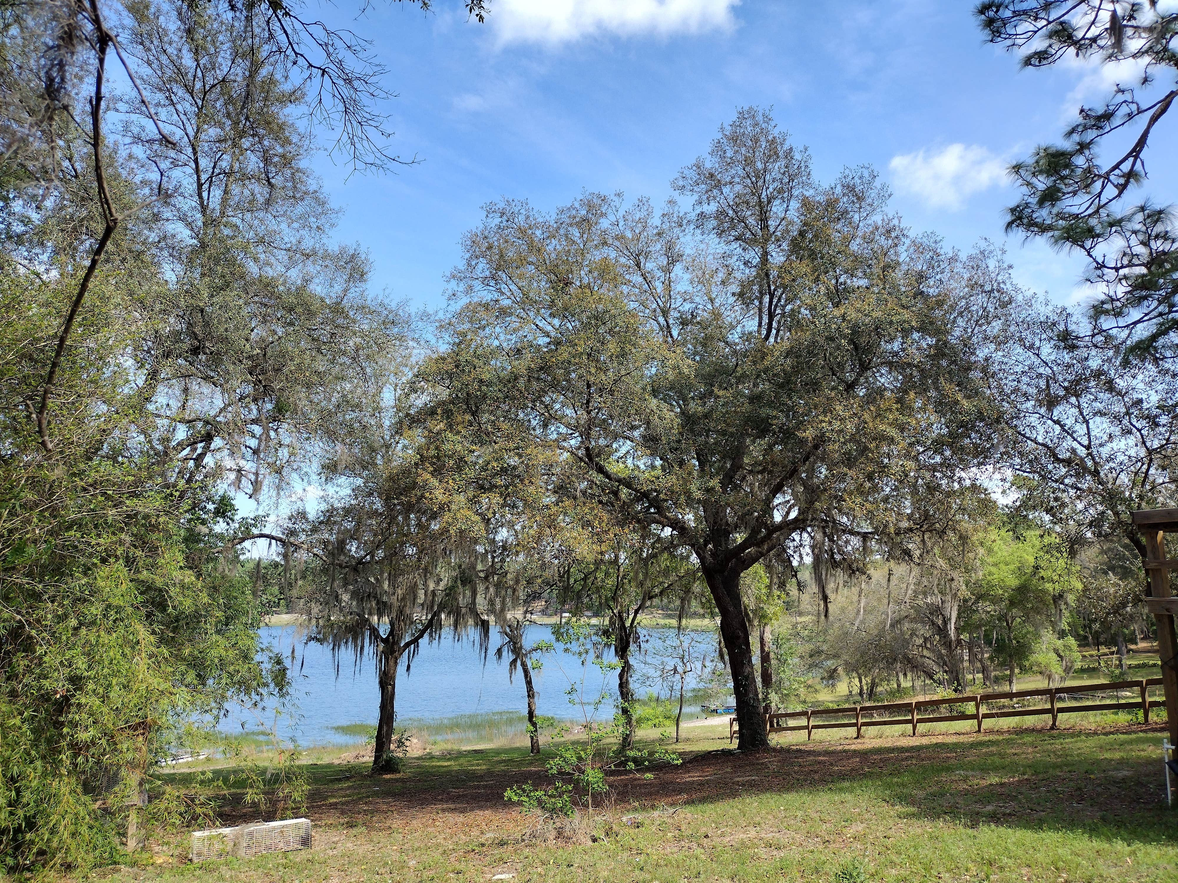 Camper-submitted photo at Free.To.Be- Van Site near Waldo, FL