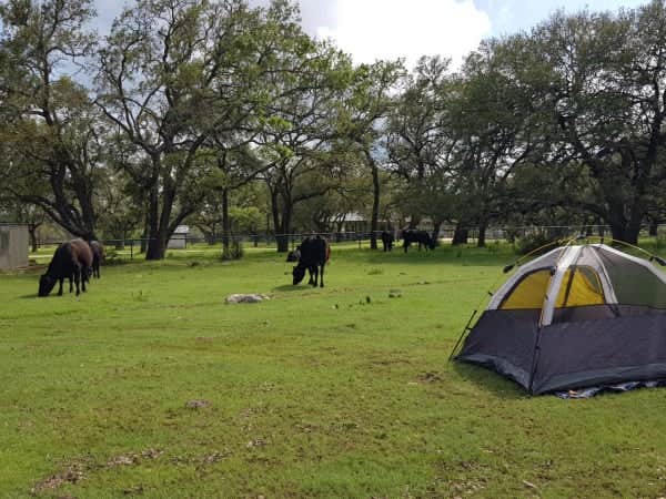 Camper-submitted photo at Dot's Spots near Wimberley, TX