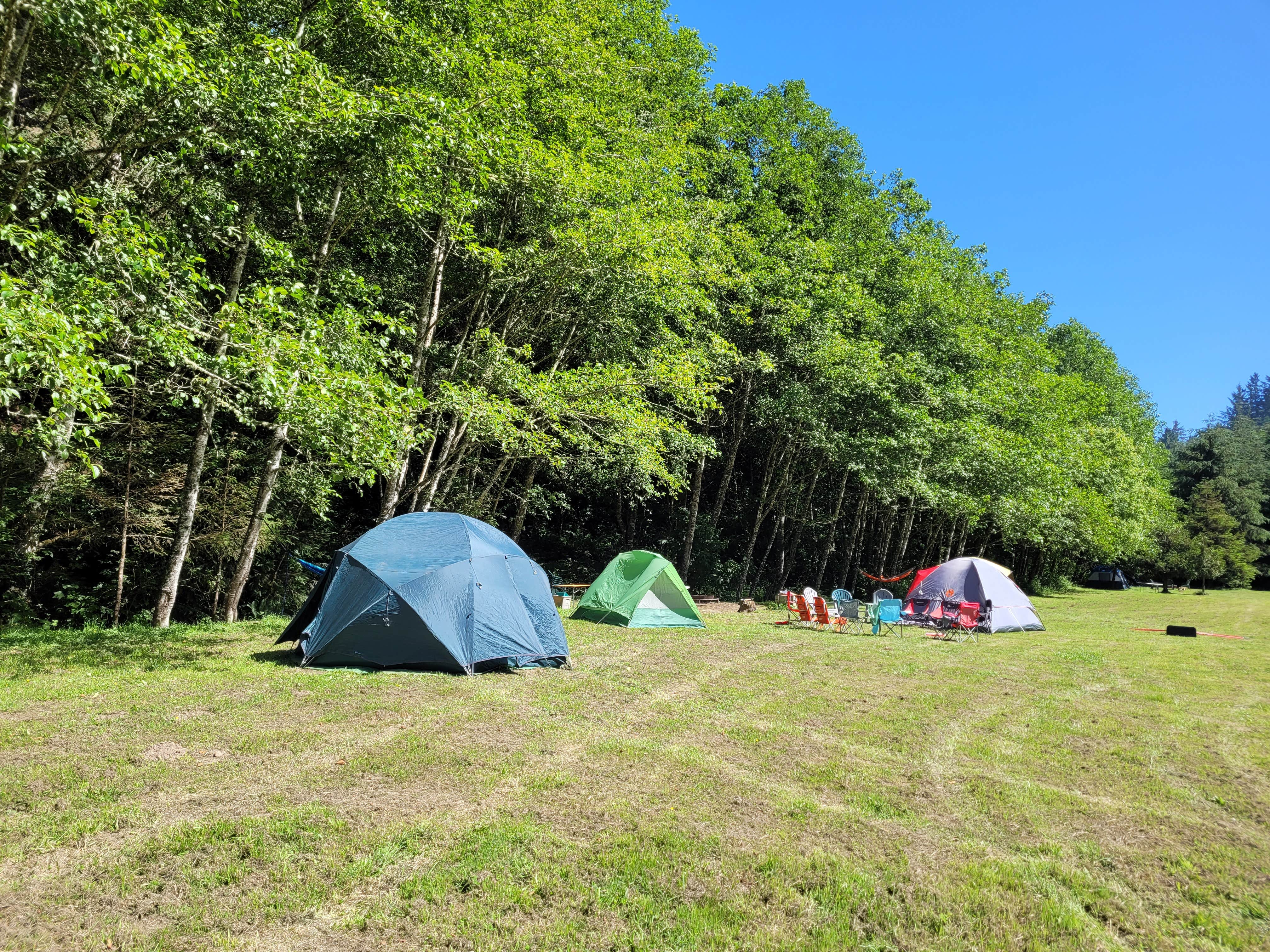 Camper-submitted photo at Wuss Camp near Ferndale, CA