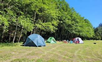 Jake C.'s photo of tent camping at Wuss Camp near Petrolia, CA