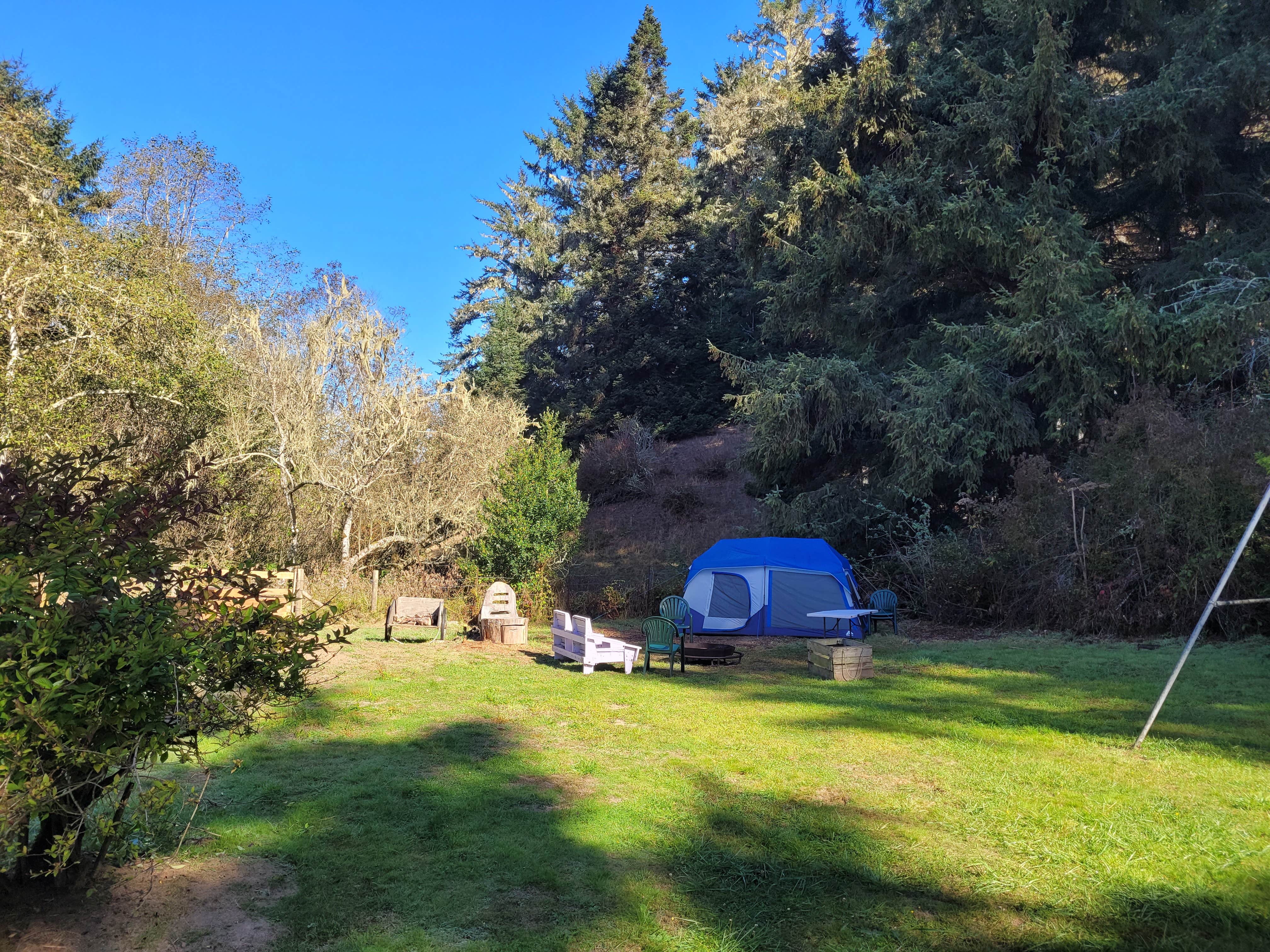 Camper-submitted photo at Wuss Camp near Ferndale, CA