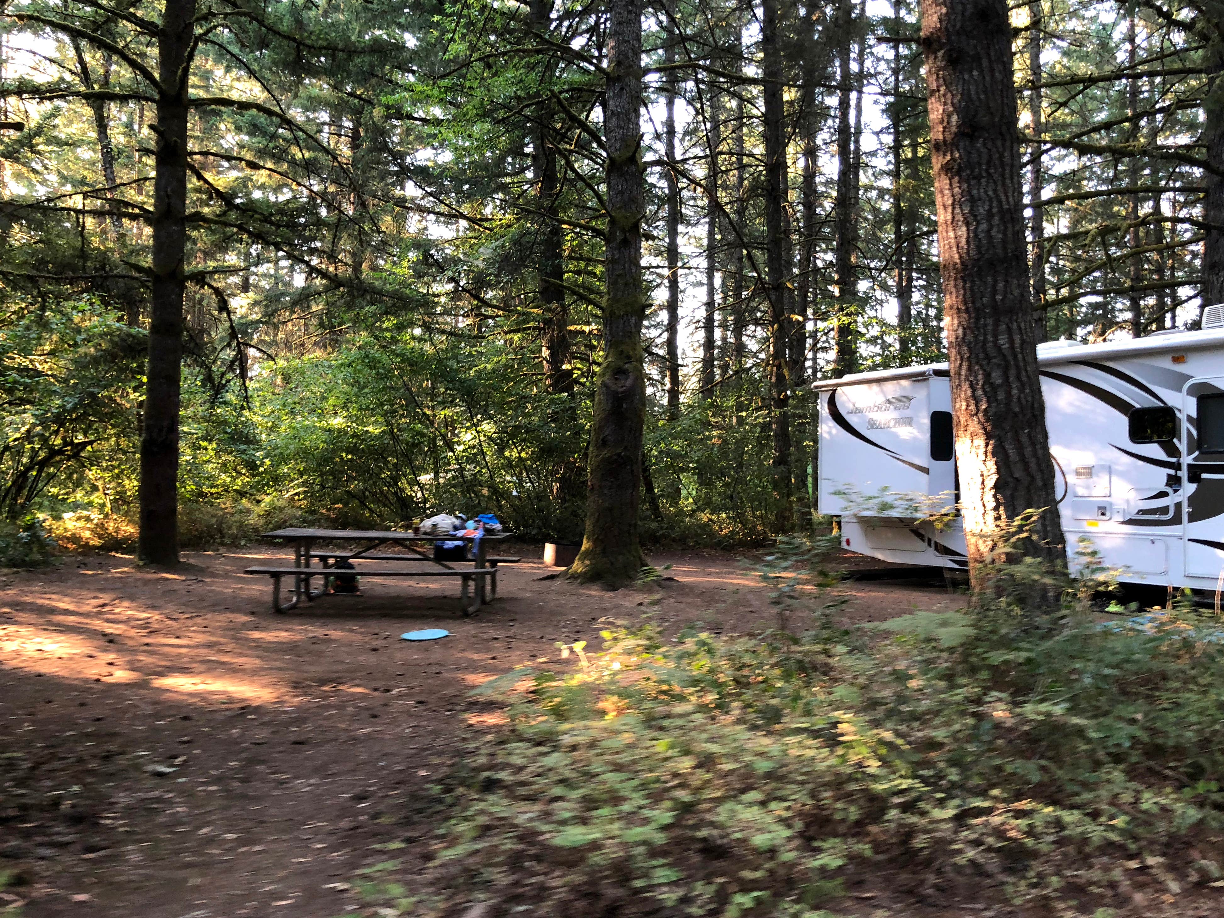 Camper submitted image from Milo McIver State Park Campground - 5