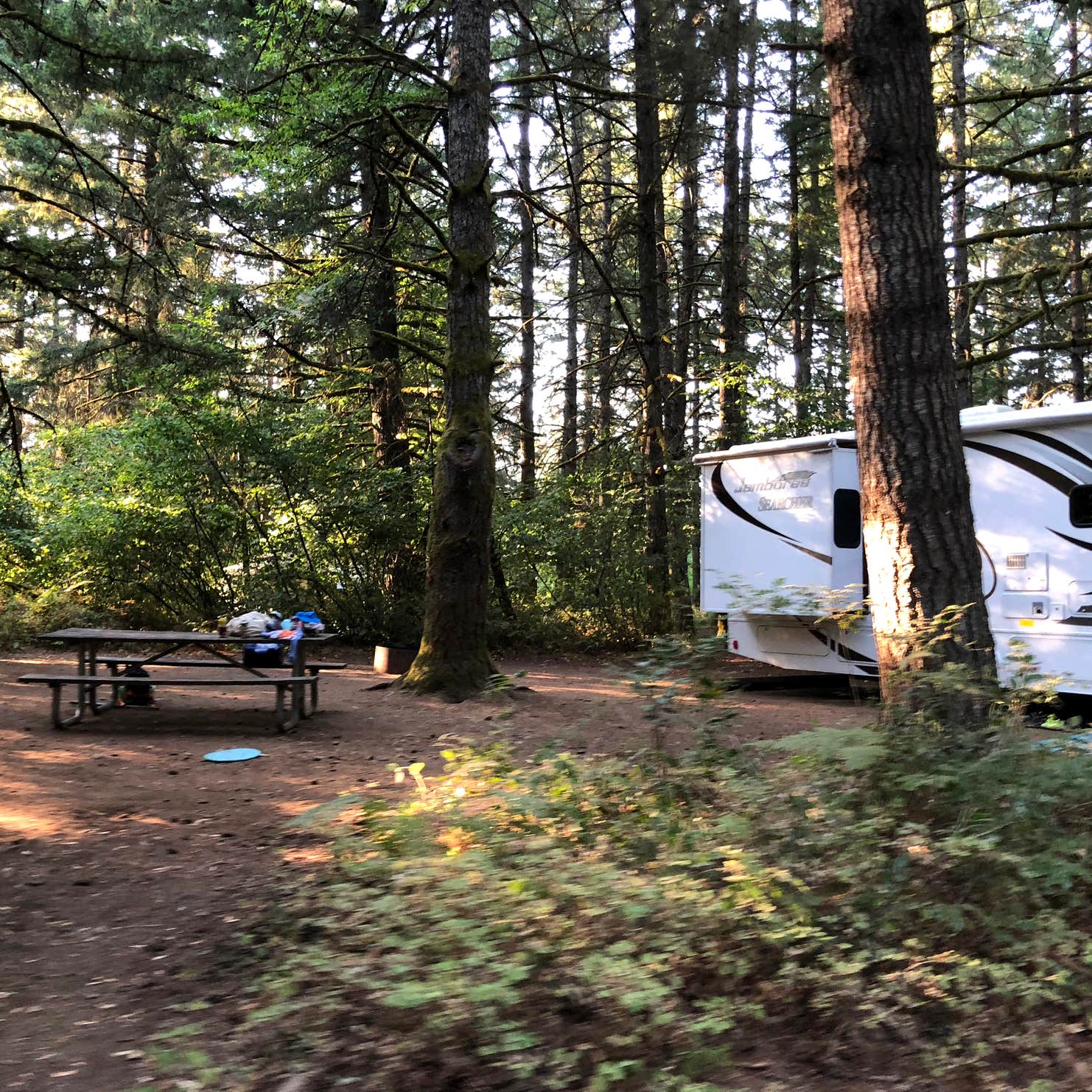 Milo McIver State Park Camping | The Dyrt