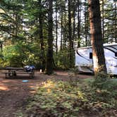 Review photo of Milo McIver State Park Campground by Corinna B., October 1, 2018