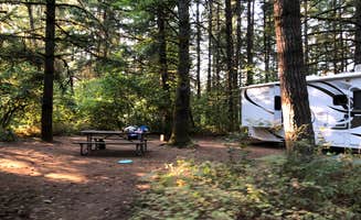 Corinna B.'s photo at Milo McIver State Park Campground near Lake Oswego, OR