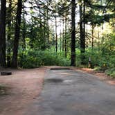 Review photo of Milo McIver State Park Campground by Corinna B., October 1, 2018