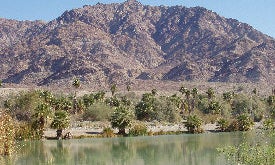 Camping near Lake Tamarisk Desert Resort: Bashford's Hot Mineral Spa, Niland, California