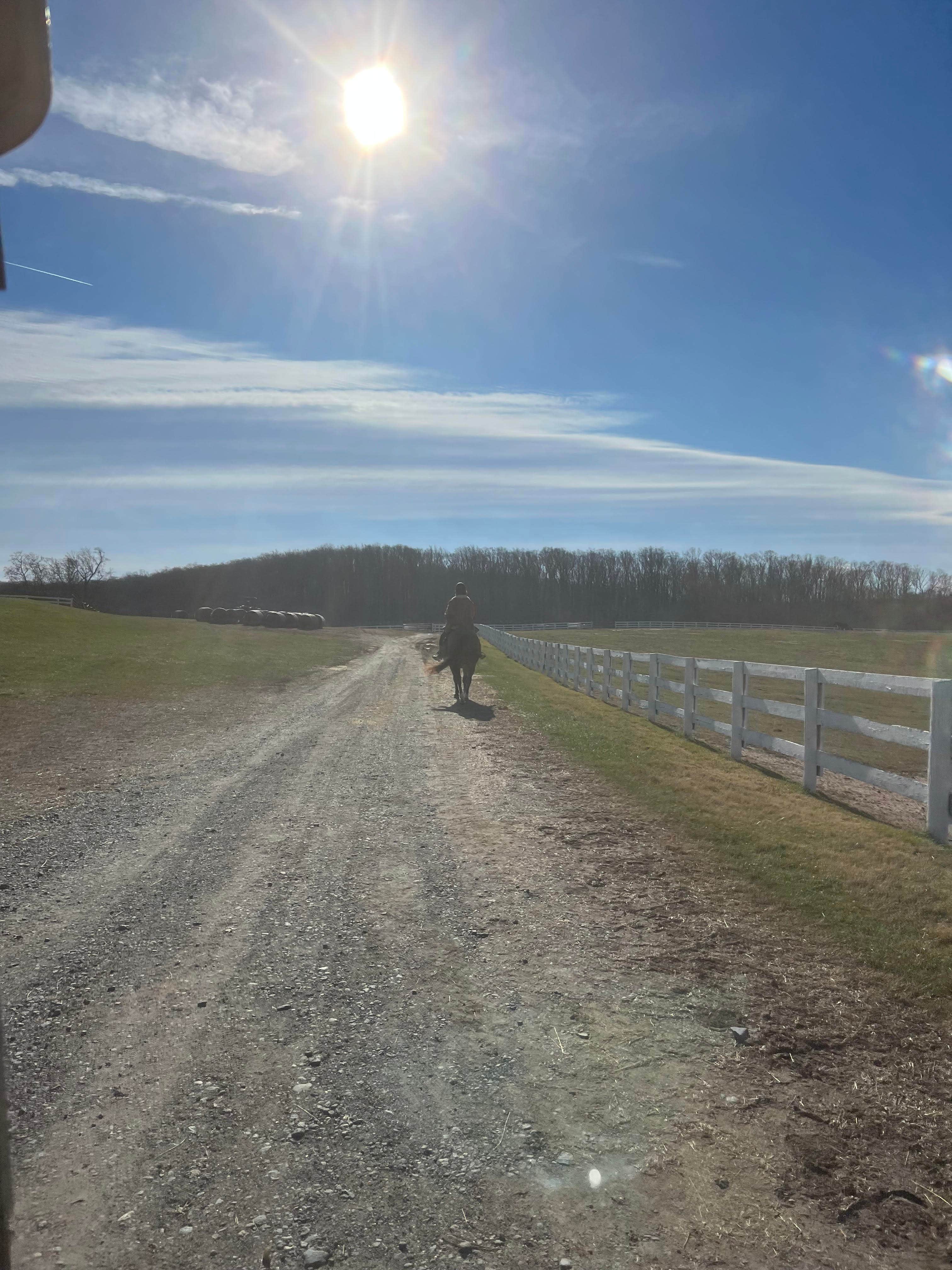 Camper-submitted photo at Camping by the Creek in Woods near Great Falls, VA