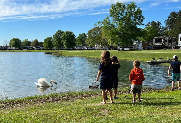 Lakeside Rv Anderson Lakeside RV Resort | Walker, Louisiana