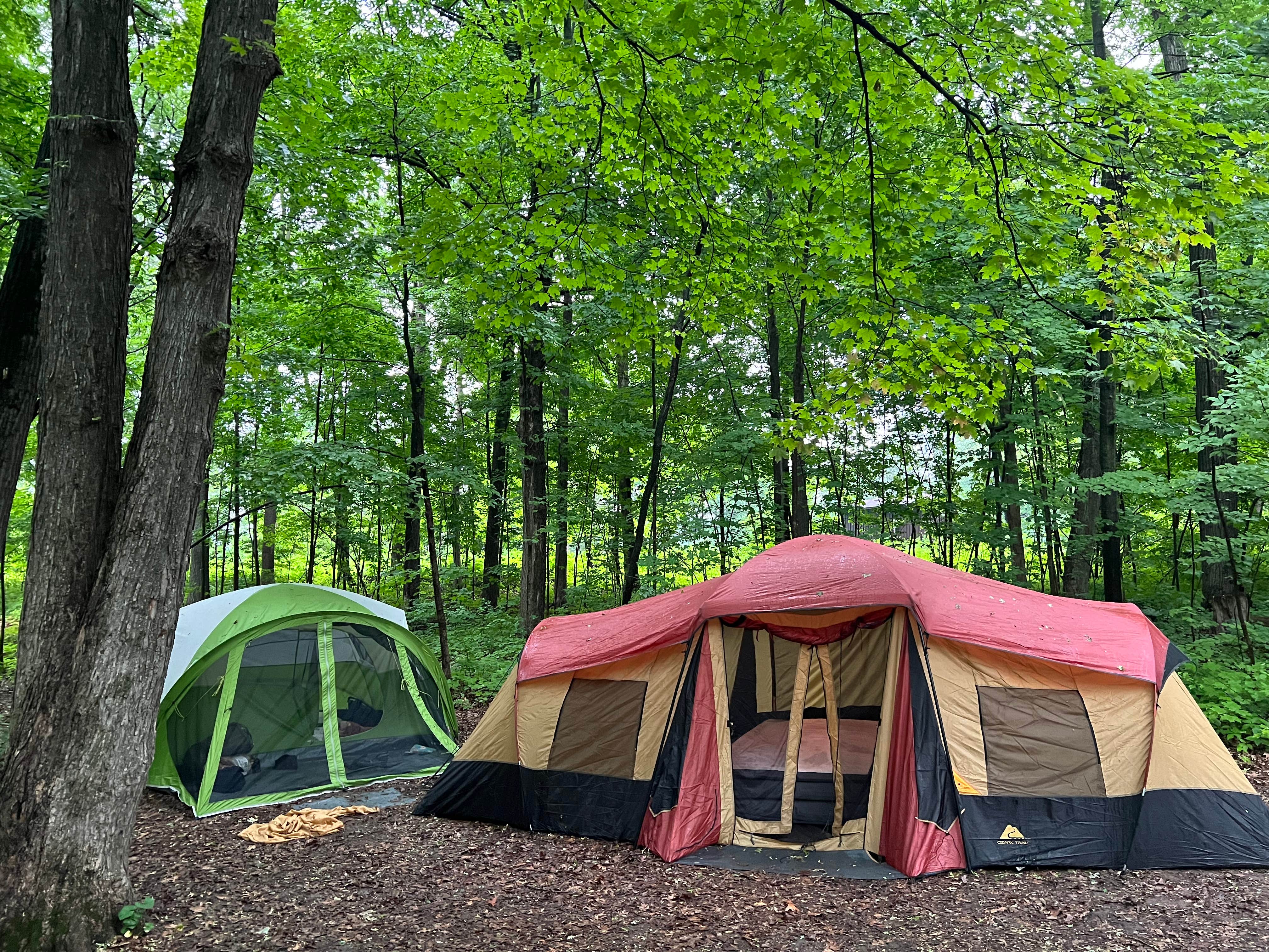 Ashley F.'s photo at Northern Lights Campground — Devils Lake State Park near Waunakee, WI