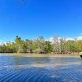 Review photo of Lake Fausse Pointe State Park Campground by Travels W., March 29, 2023