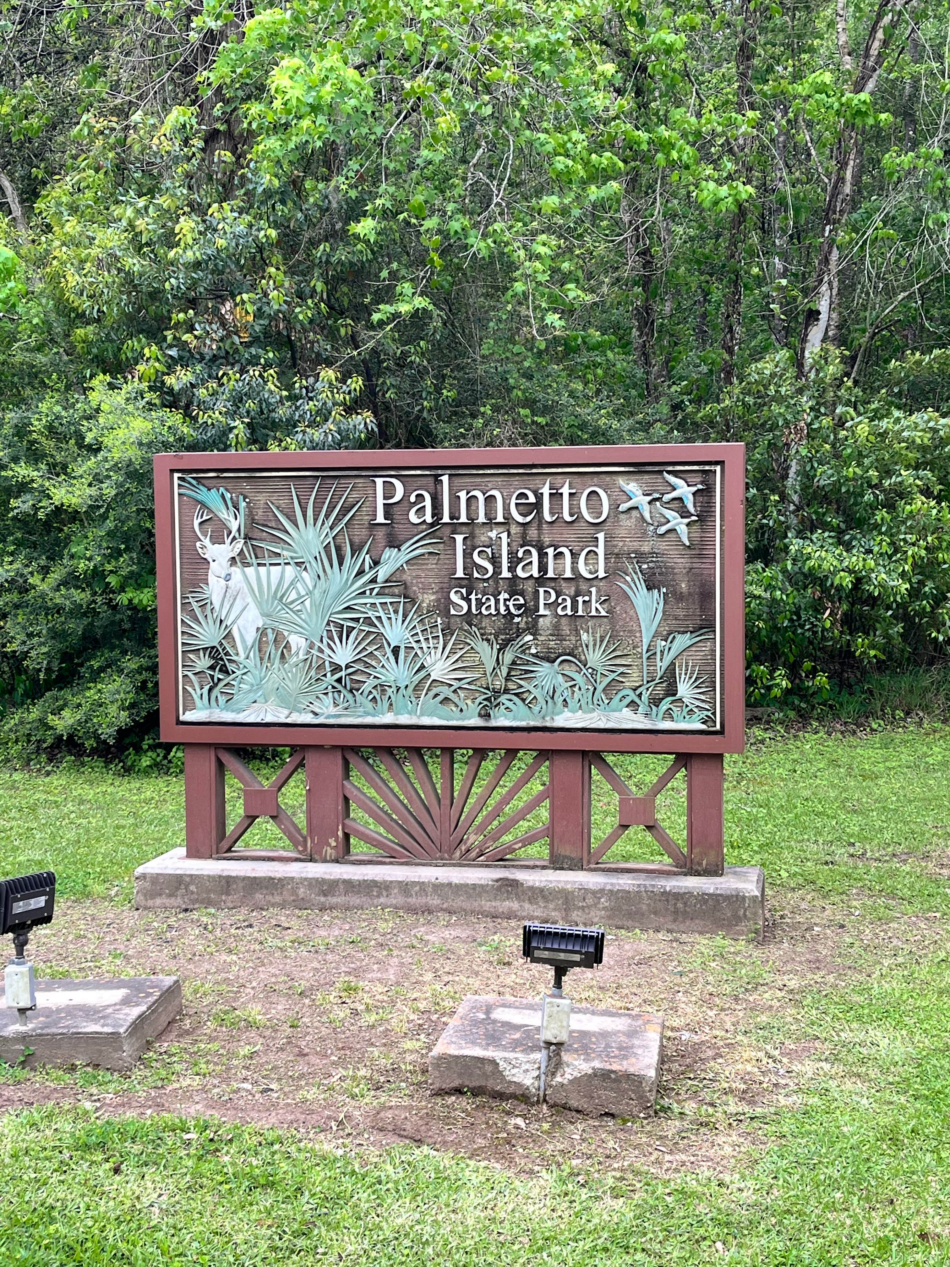 Camper submitted image from Palmetto Island State Park Campground - 5