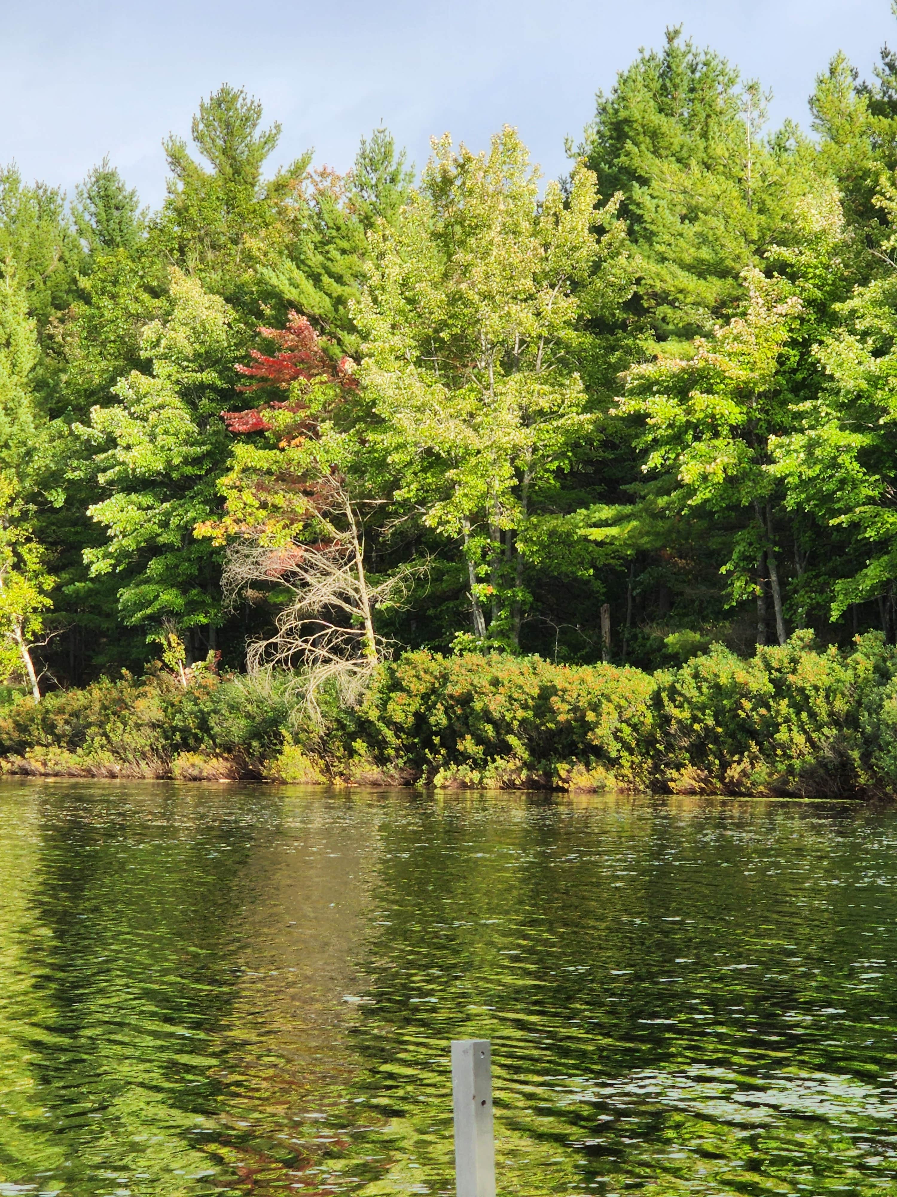 Camper submitted image from Hankerd's Horseshoe Lake Campground - 1