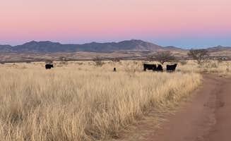 Kelly B.'s photo of a dispersed camping area at Empire Ranch Area Dispersed Camping near Vail, AZ