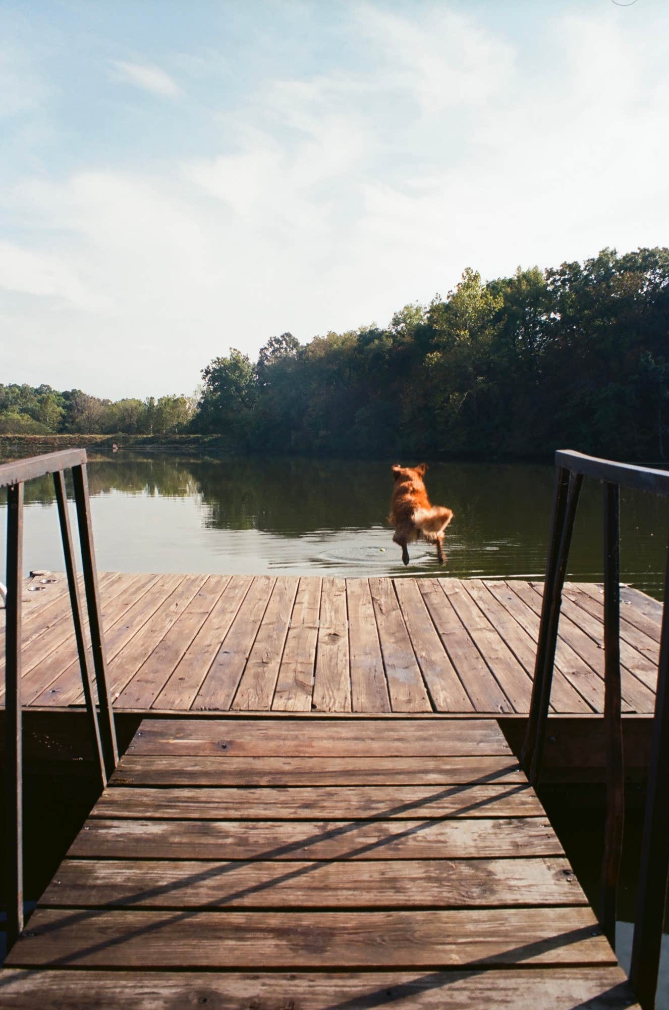 The Dyrt's photo of camping with pets at The Sundance Ranch near Smithville, MO