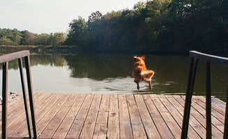 The Dyrt's photo of camping with pets at The Sundance Ranch near Excelsior Springs, MO