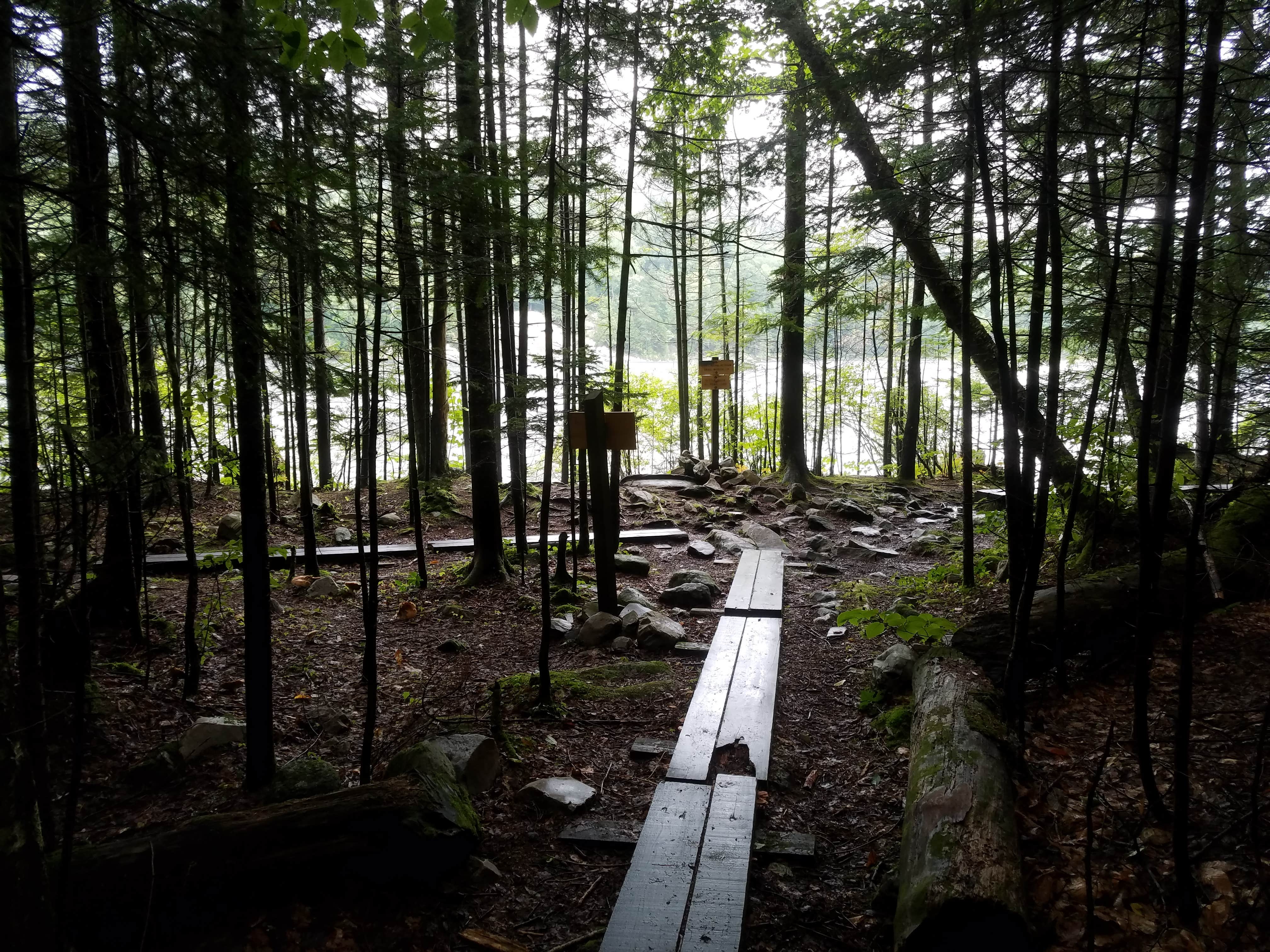 Camper-submitted photo at Little Rock Pond Group Camp & Shelters near Poultney, VT