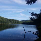 Review photo of Little Rock Pond Group Camp & Shelters by Meredith C., October 1, 2018