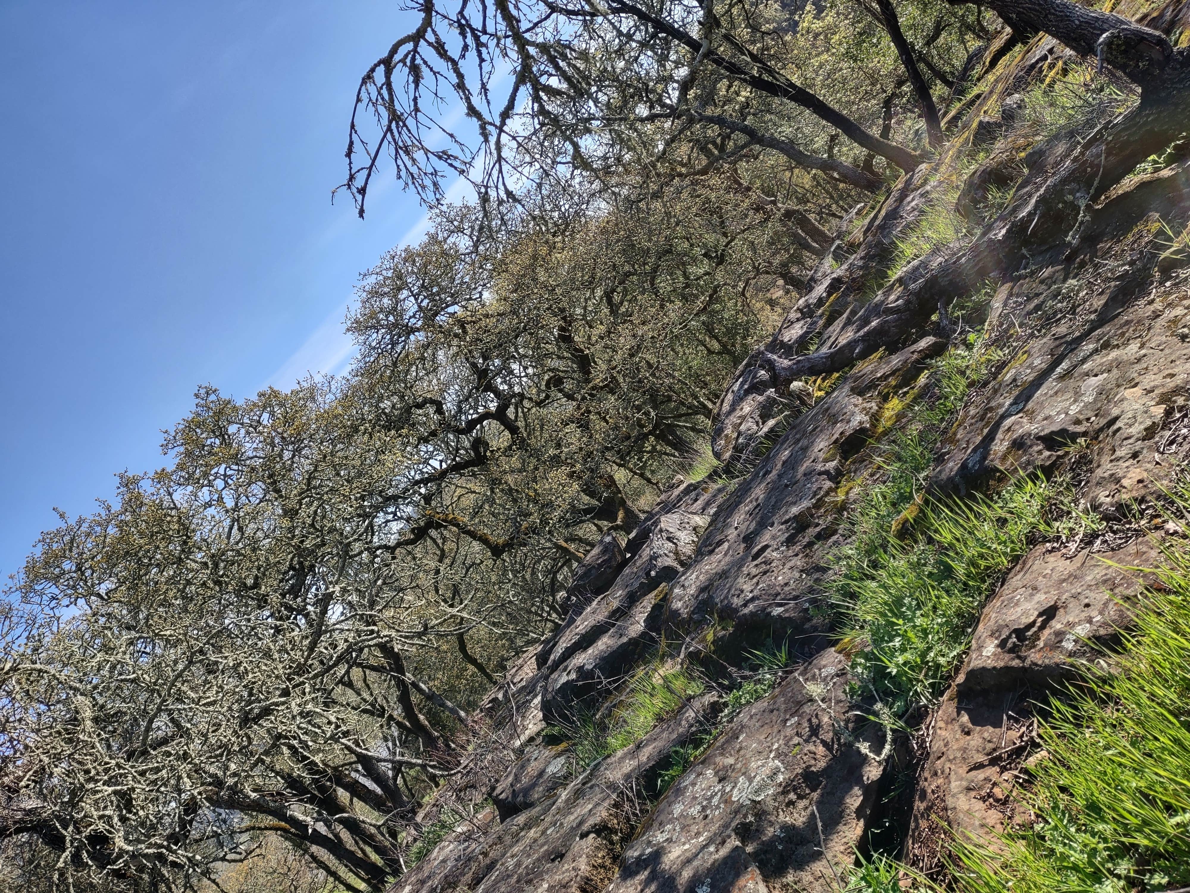 Camper-submitted photo at Spring Lake Regional Park near Yountville, CA