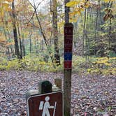 Review photo of Douthat State Park Campground by Lee D., March 30, 2023