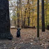 Review photo of Horine Reservation Camping at Jefferson County Memorial Forest by Ella L., March 23, 2023