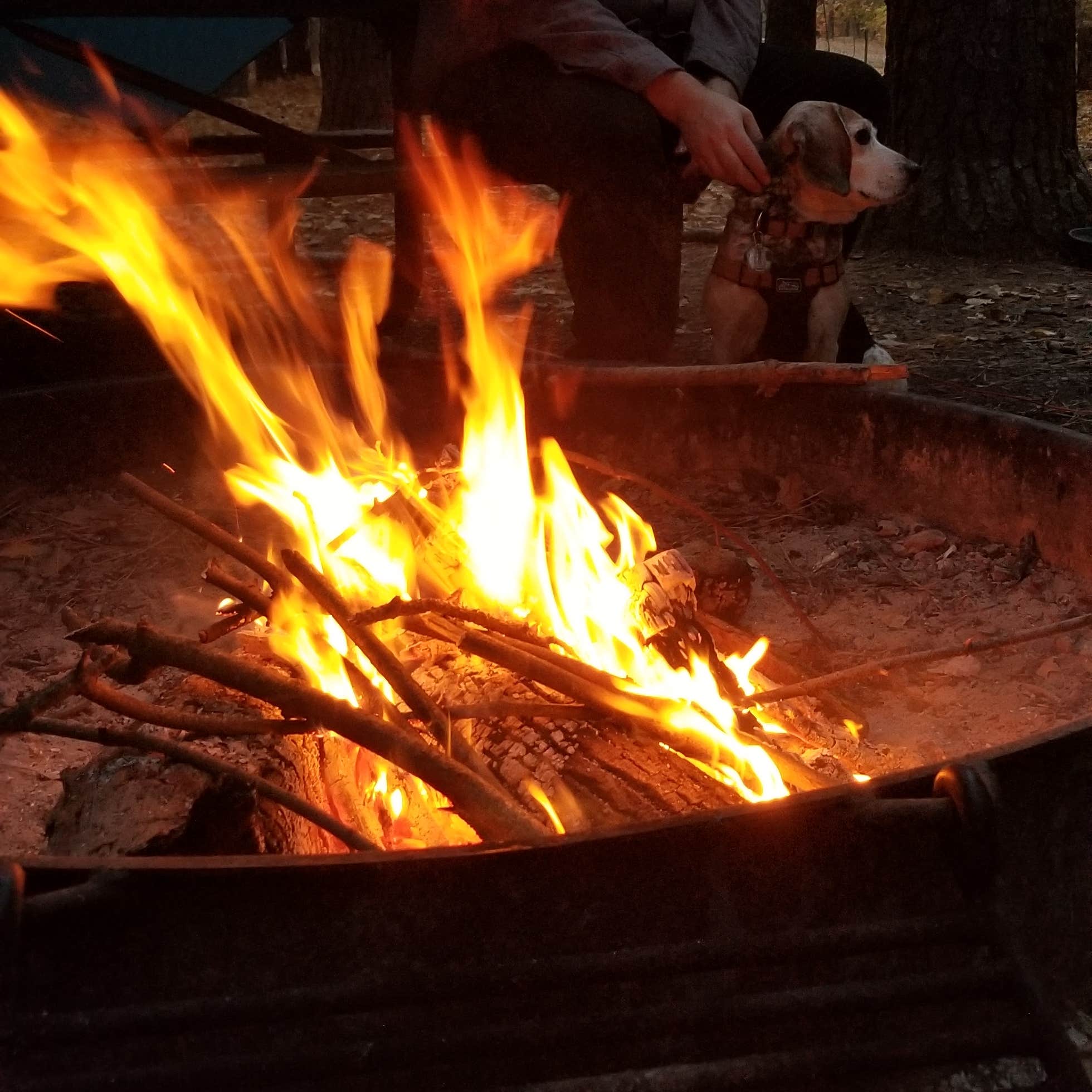 Horine Reservation Camping at Jefferson County Memorial Forest ...