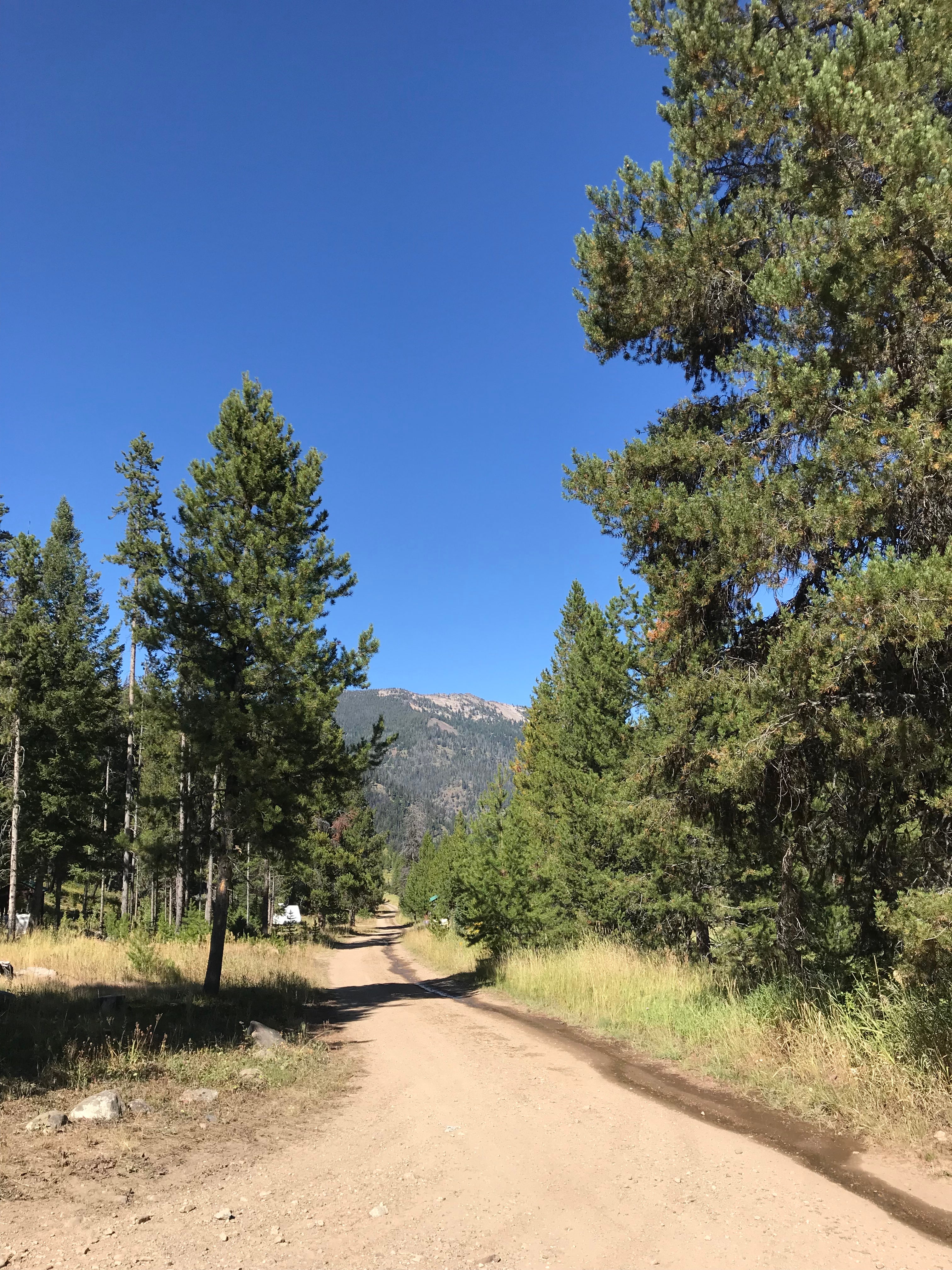 Camper submitted image from Payette National Forest Big Creek Campground - 2