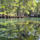 Review photo of Manatee Springs State Park Campground by Marina O., March 30, 2023