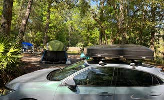 Marina O.'s photo at Manatee Springs State Park Campground near Gulf Hammock, FL