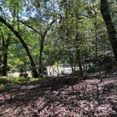 Review photo of Manatee Springs State Park Campground by Marina O., March 30, 2023