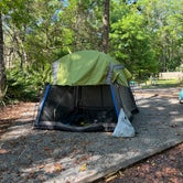 Review photo of Manatee Springs State Park Campground by Marina O., March 30, 2023