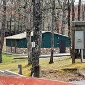 Review photo of Amicalola Falls State Park Camping by Brett D., March 30, 2023