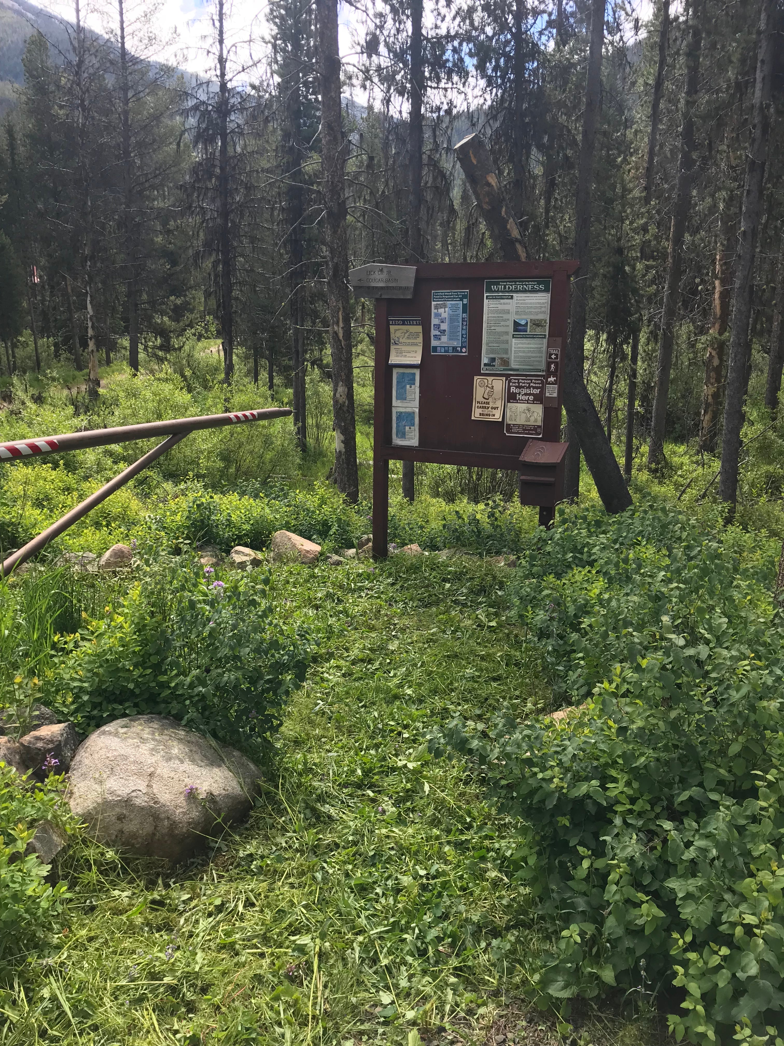 Camper submitted image from Lick Creek Area, McCall & Krassel Ranger Districts - 3