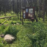 Review photo of Lick Creek Area, McCall & Krassel Ranger Districts by Courtney R., October 1, 2018