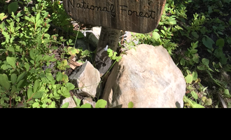 Camping near Northwest Passage Campground — Ponderosa State Park: Lick Creek Area, McCall & Krassel Ranger Districts, Payette National Forest, Idaho
