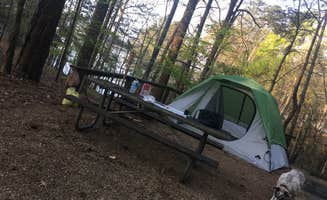Rachel T.'s photo of camping with pets at Mckinney Campground near Sandy Springs, GA