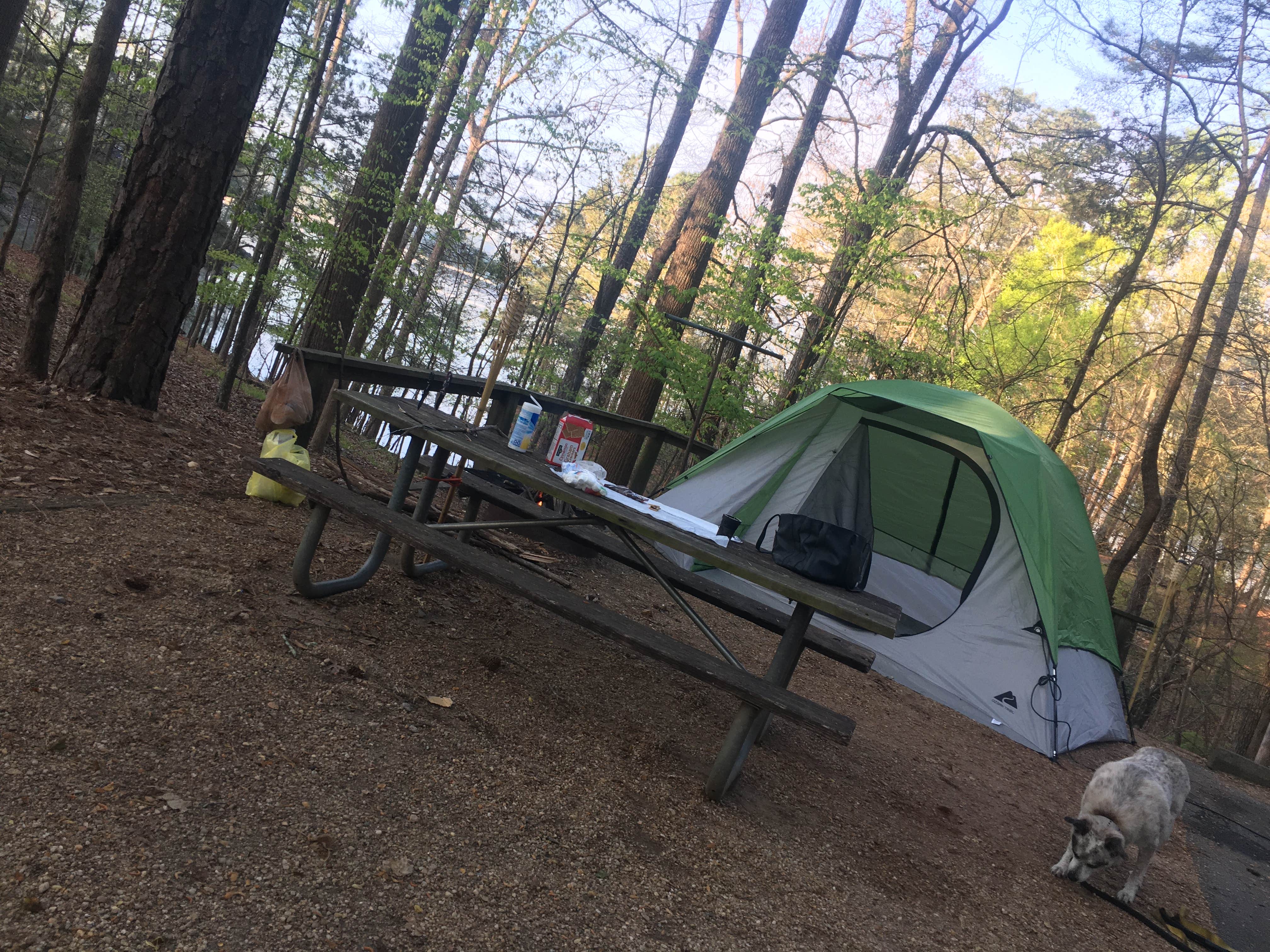 Rachel T.'s photo of camping with pets at Mckinney Campground near Roswell, GA