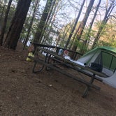 Review photo of Mckinney Campground by Rachel T., March 30, 2023
