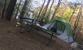 Rachel T.'s photo of camping with pets at Mckinney Campground near Allatoona Lake