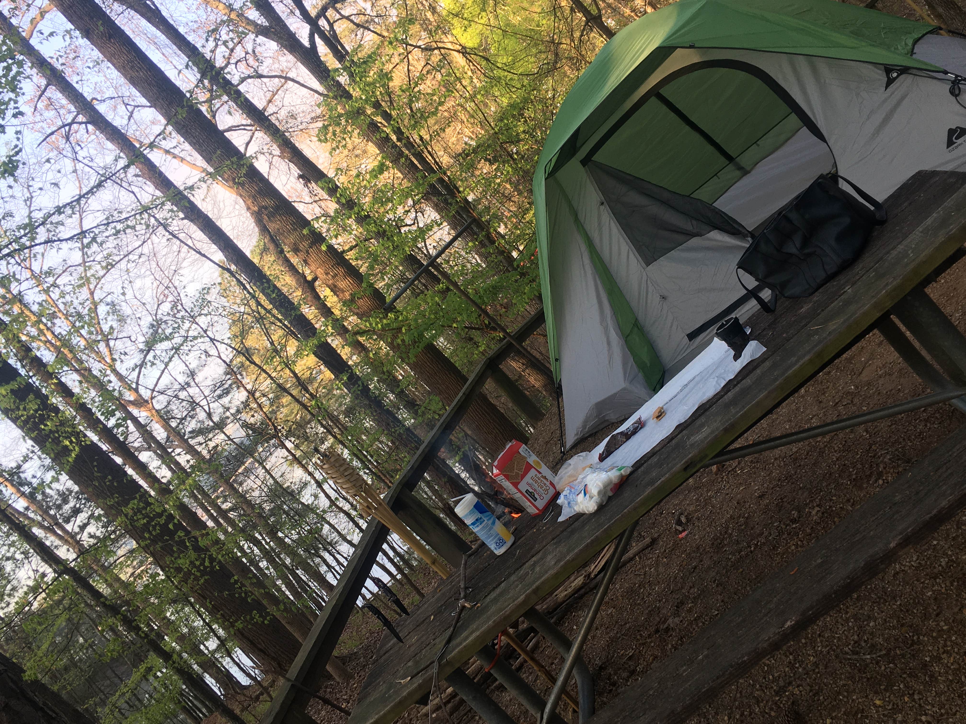 Rachel T.'s photo at Mckinney Campground near Allatoona Lake