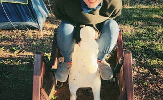 Elliot F.'s photo of camping with pets at Hawk Nest Mushroom Farm near Shenandoah, VA