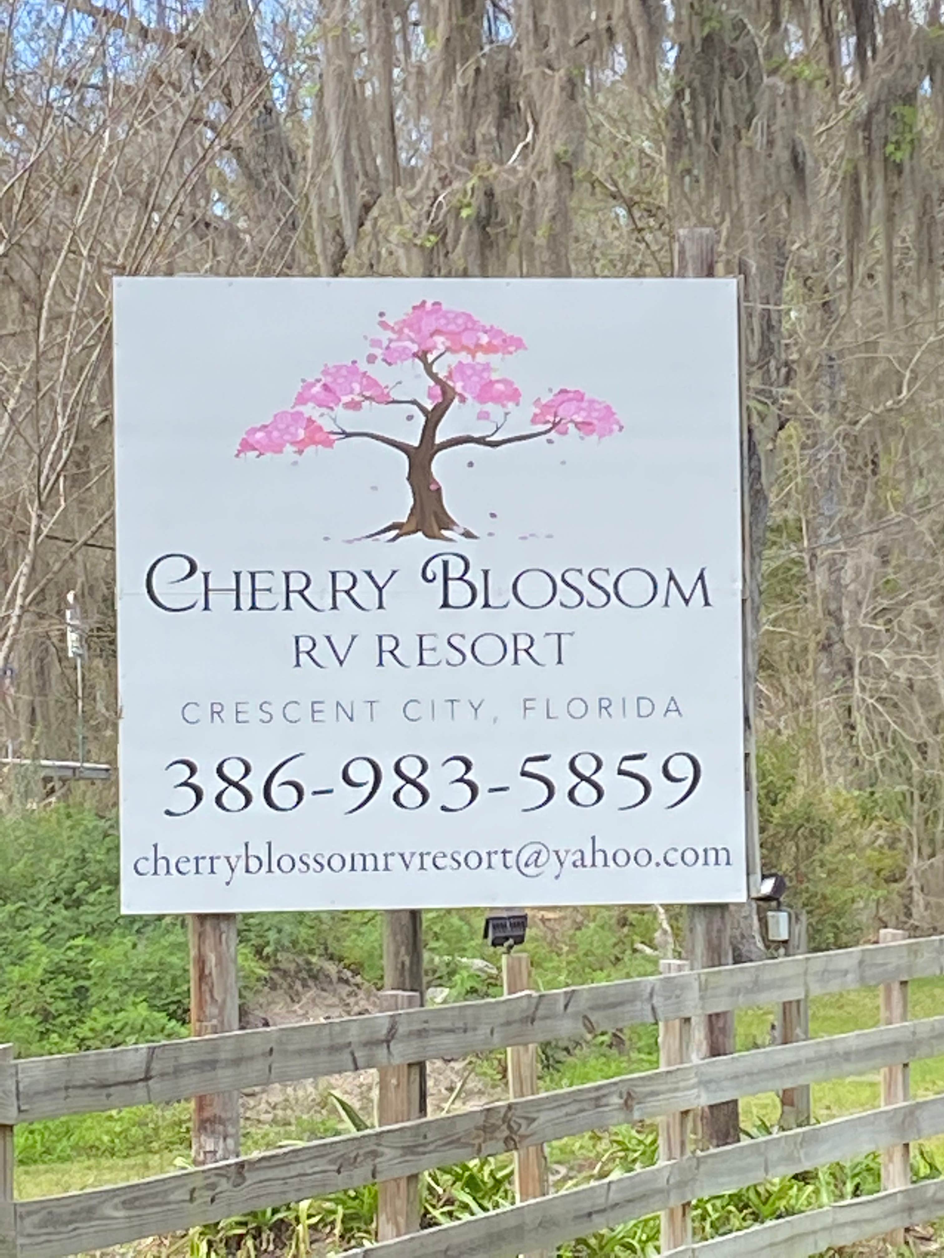 Camper-submitted photo at Cherry Blossom RV Resort near Pomona Park, FL