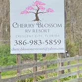Review photo of Cherry Blossom RV Resort by Stuart K., March 30, 2023