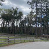 Review photo of Cherry Blossom RV Resort by Stuart K., March 30, 2023
