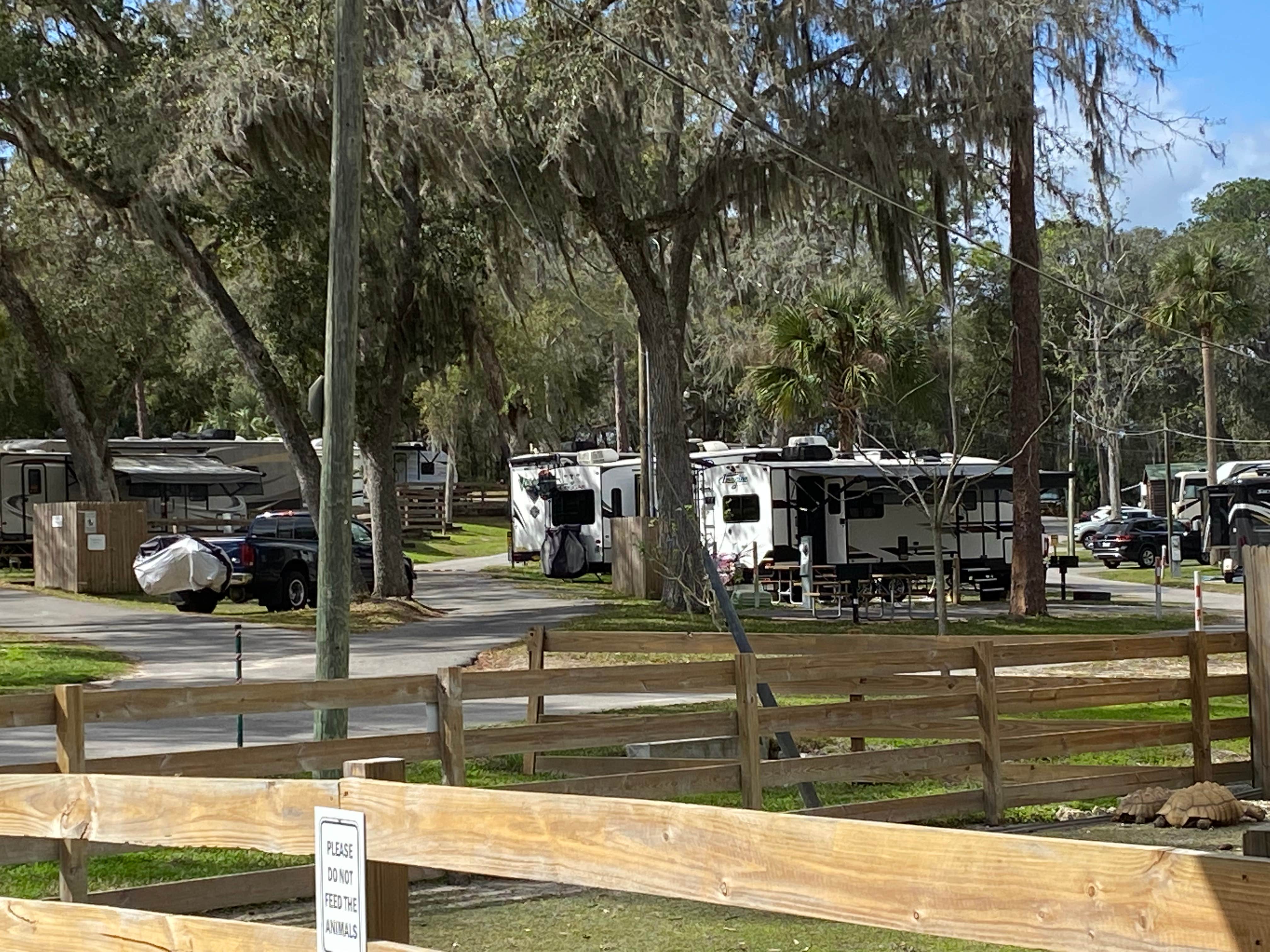 Camper-submitted photo at Cherry Blossom RV Resort near Bunnell, FL